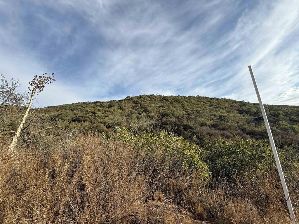 Rainbow Glen Road Fallbrook, CA 92028 - Photo 23 of 26 a view of a dry yard