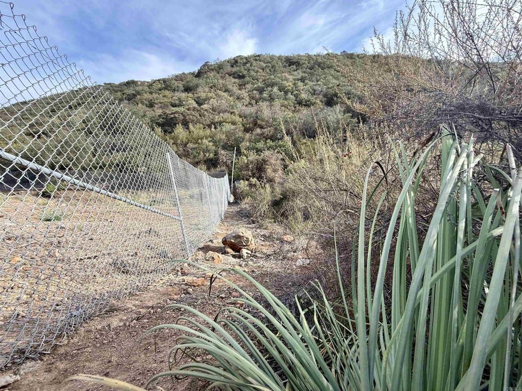 Rainbow Glen Road Fallbrook, CA 92028 - Photo 6 of 26 a view of a yard with plants and wooden fence