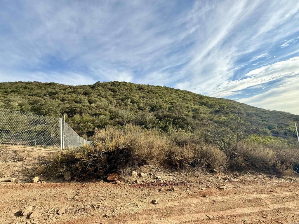 Rainbow Glen Road Fallbrook, CA 92028 - Photo 10 of 26 a view of a dry yard
