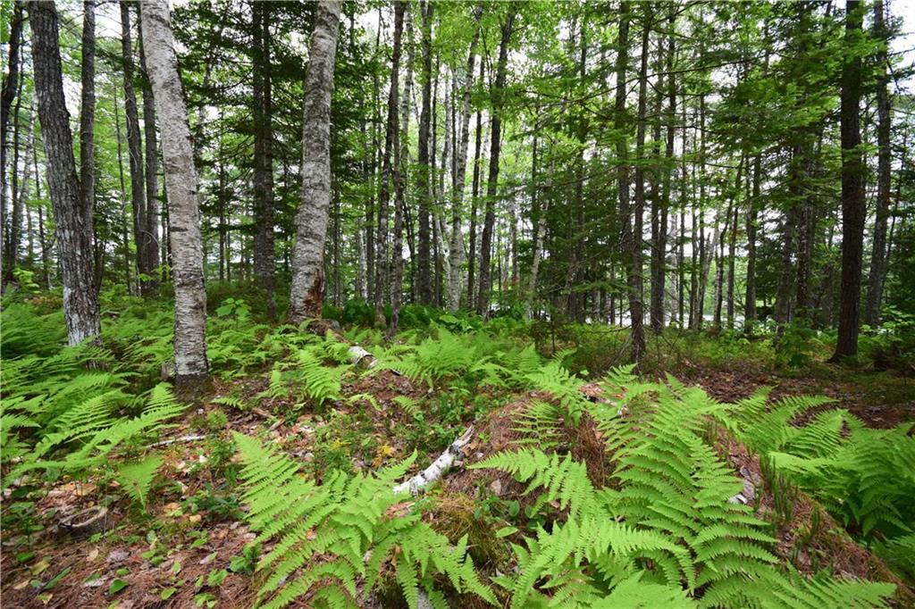 20 D Madagascal Pond Road Burlington, ME 04417 - Photo 5 of 15 Photo