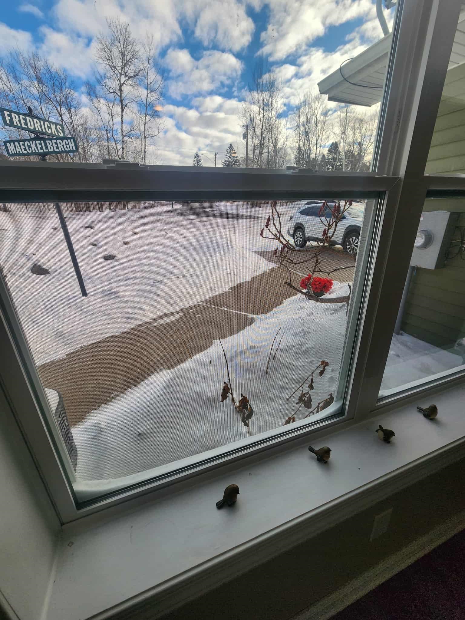 4235 Stebner Road, Unit 1 Hermantown, MN 55811 - Photo 13 of 13