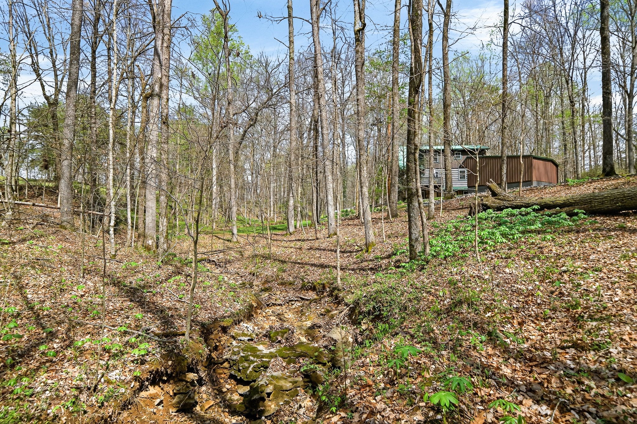 2599 Cummins Mill Road Cookeville, TN 38501 - Photo 34 of 51