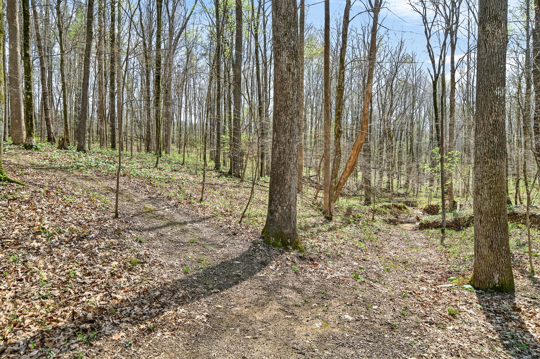 2599 Cummins Mill Road Cookeville, TN 38501 - Photo 35 of 51