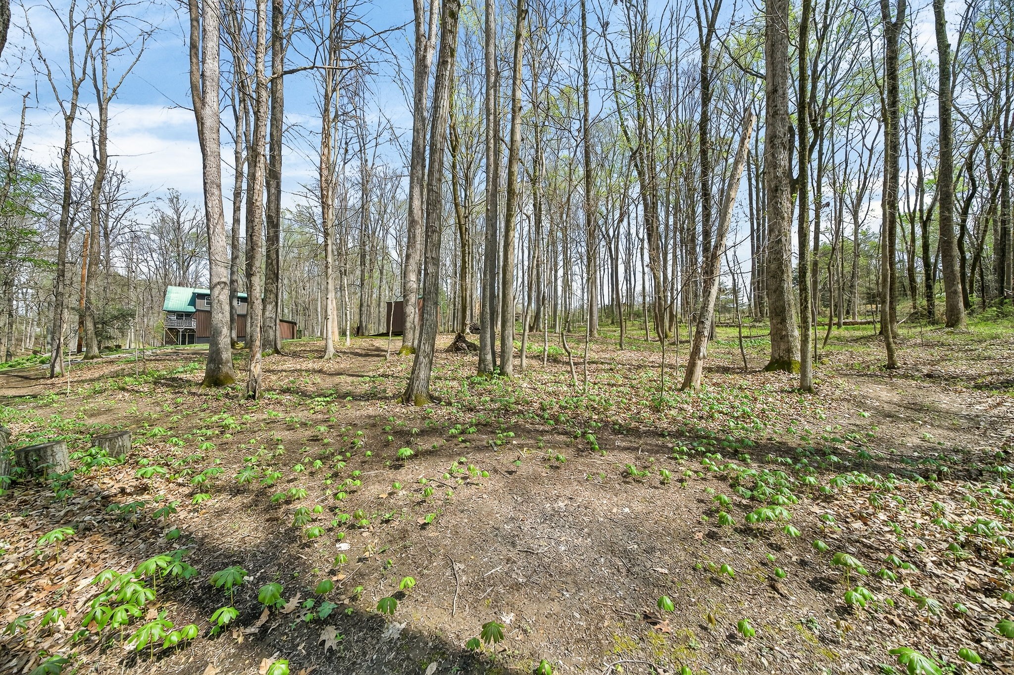 2599 Cummins Mill Road Cookeville, TN 38501 - Photo 36 of 51