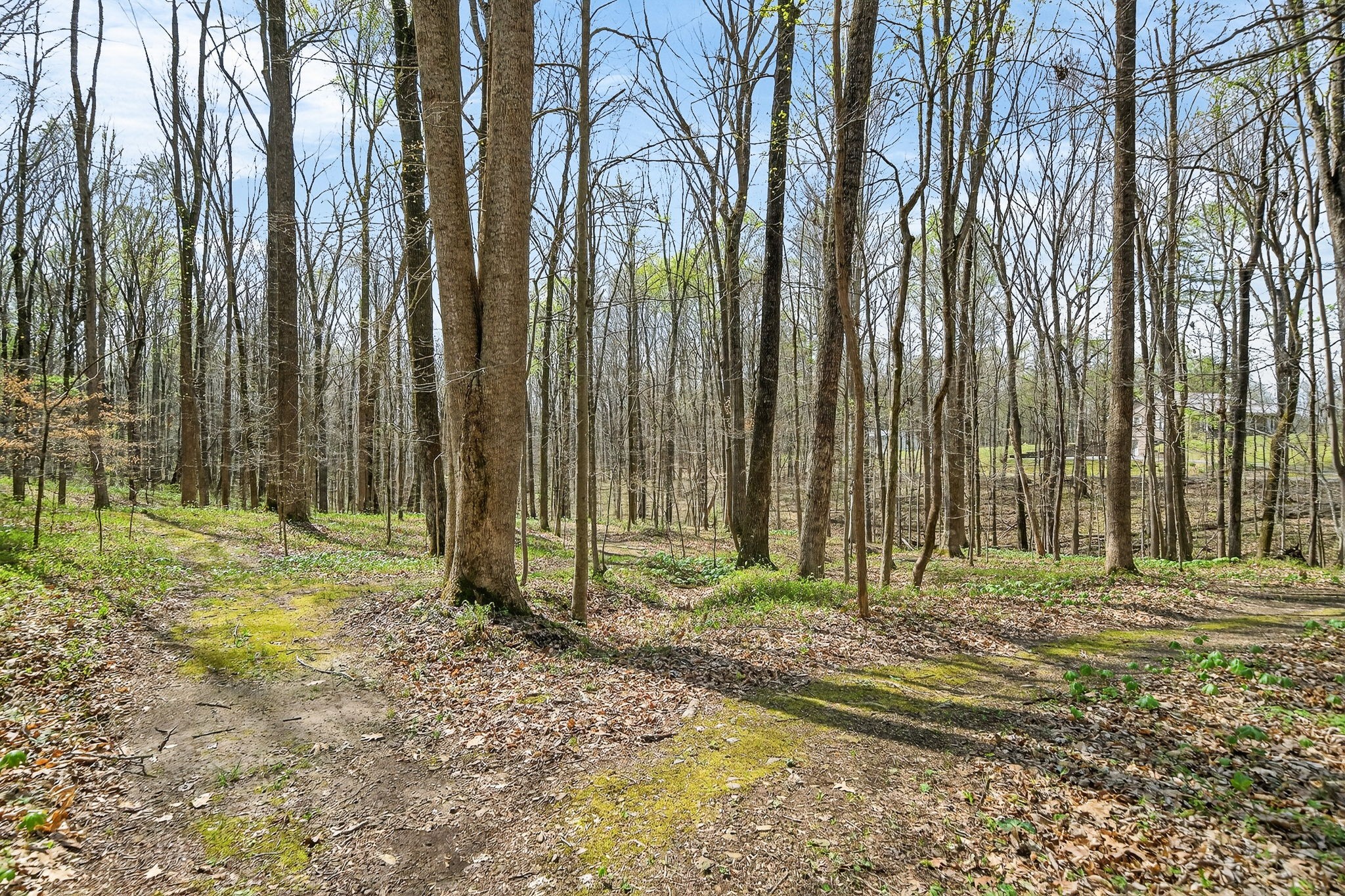 2599 Cummins Mill Road Cookeville, TN 38501 - Photo 37 of 51