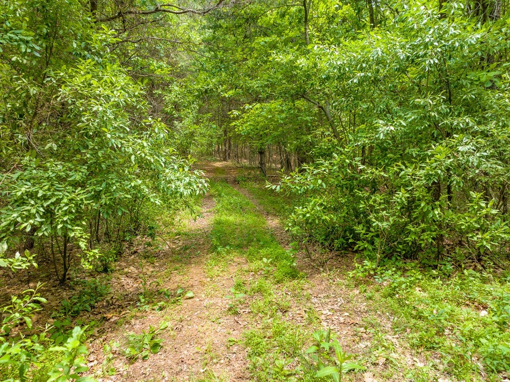 Tbd Apache Road, Unit 2 Woodlawn, VA 24381 - Photo 26 of 48 Gallery Image 26