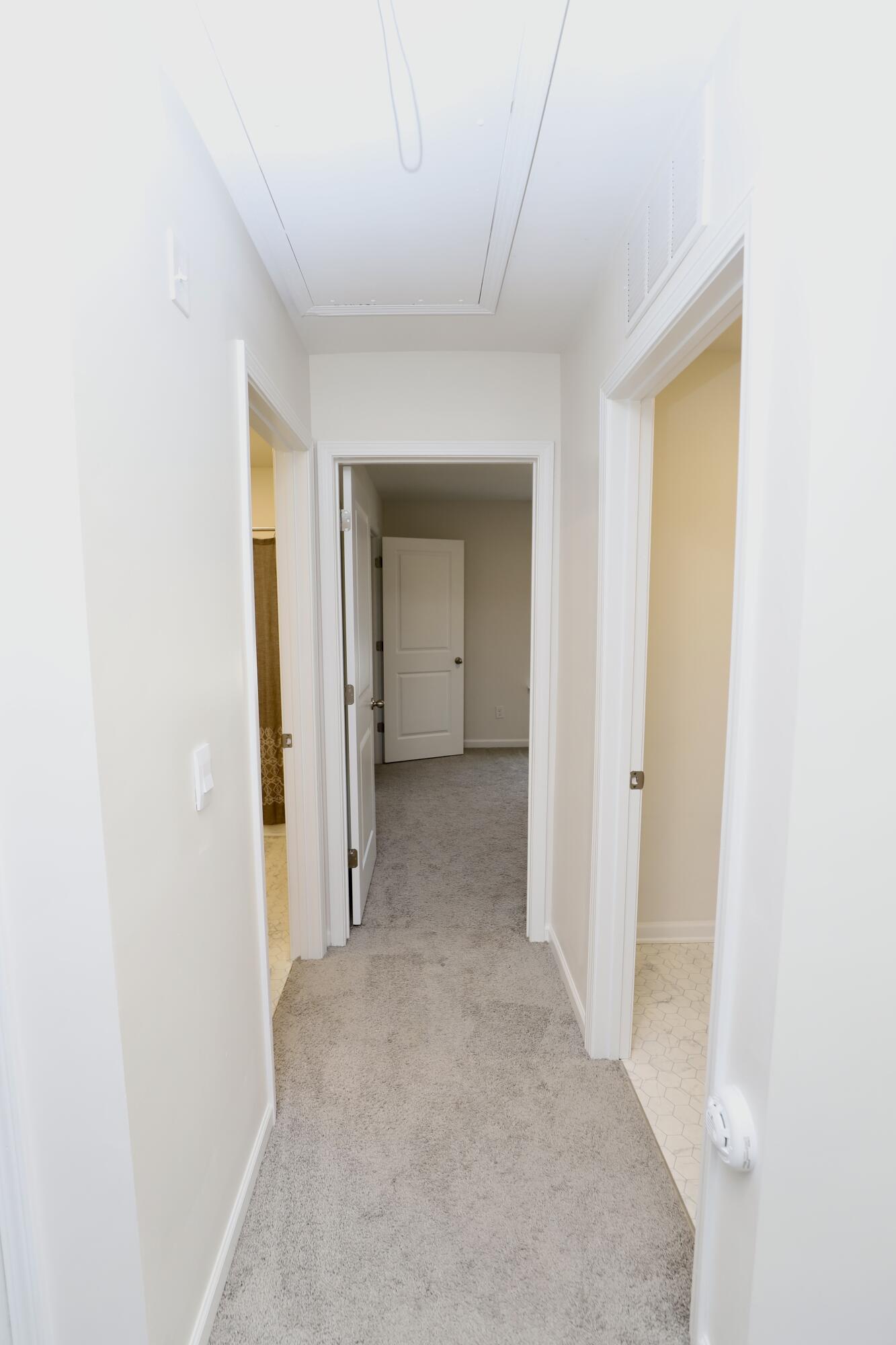352 Sandbach Road Columbia, SC 29209 - Photo 30 of 78 422C1756-1E7E-4442-938D-8AFB28915FE7_1_2