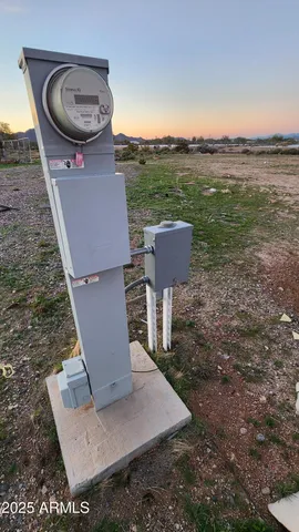 a view of a garden with mountain