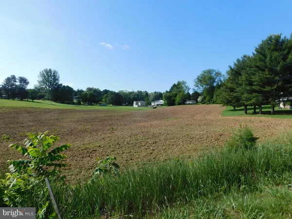 a view of yard with lake view and trees