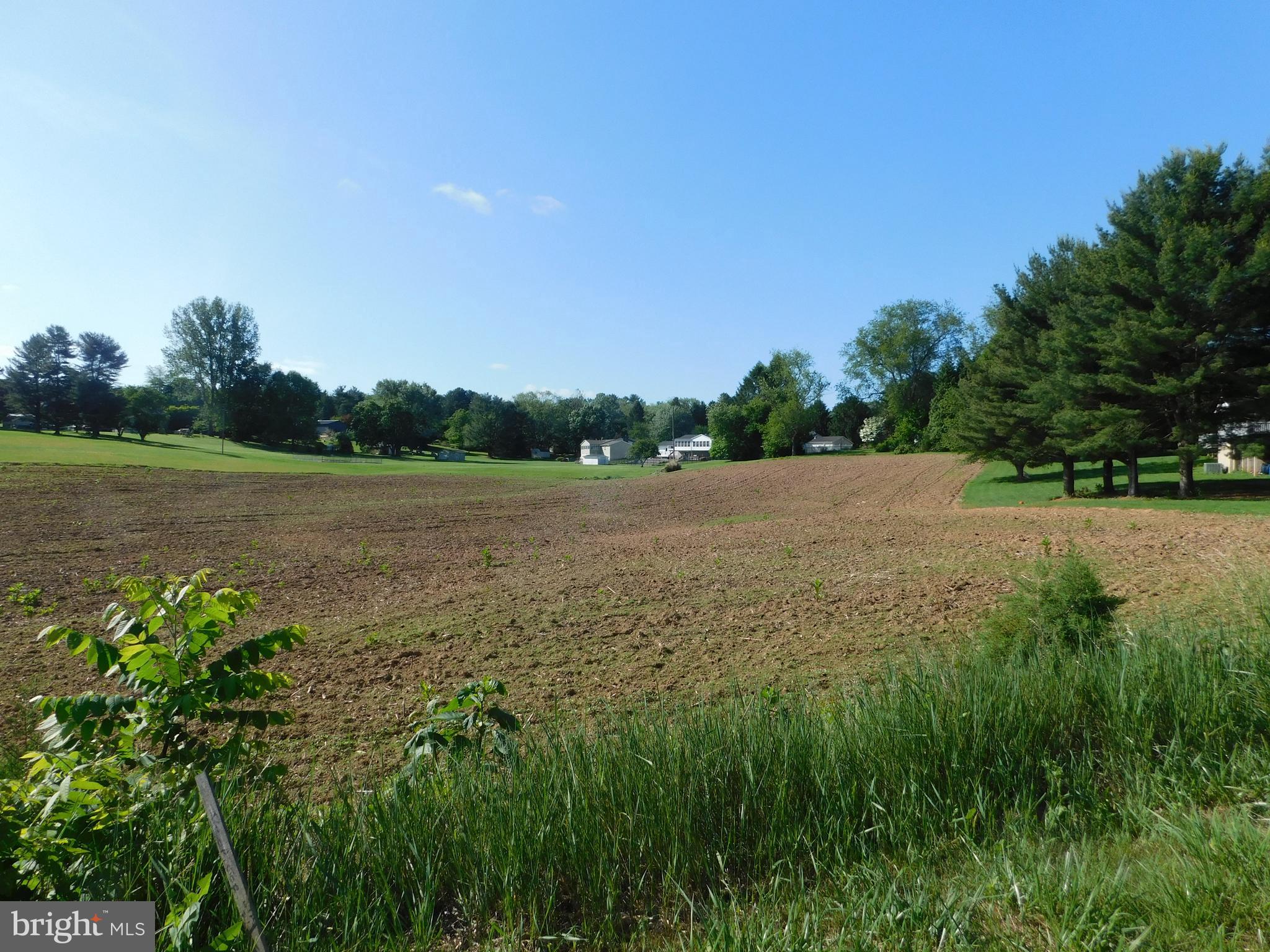 1905 Youngston Road Jarrettsville, MD 21084 - Photo 2 of 4 a view of yard with lake view and trees
