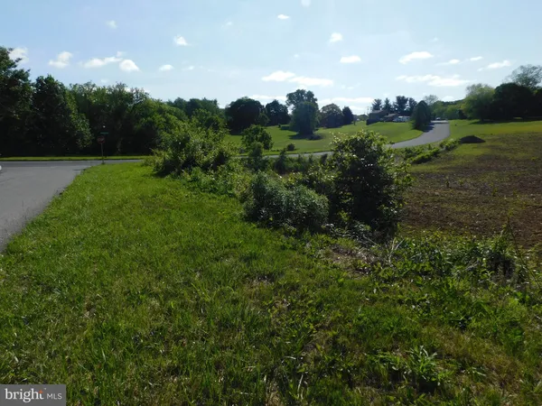 a view of a big yard with green space