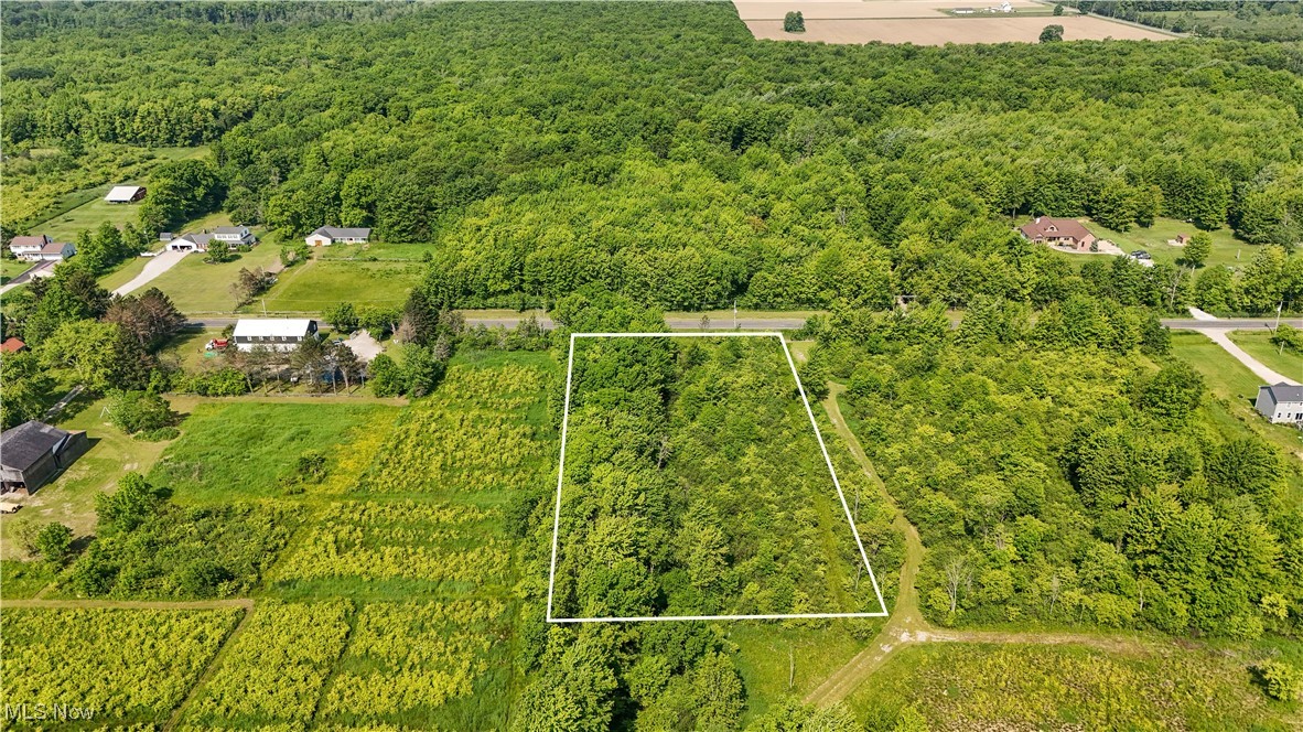 Brakeman Road Painesville, OH 44077 - Photo 14 of 24 Aerial view of property and surrounding area with property parcel outlined and a heavily wooded area