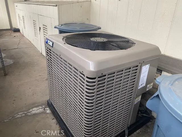 a view of a pathway with a flower plants