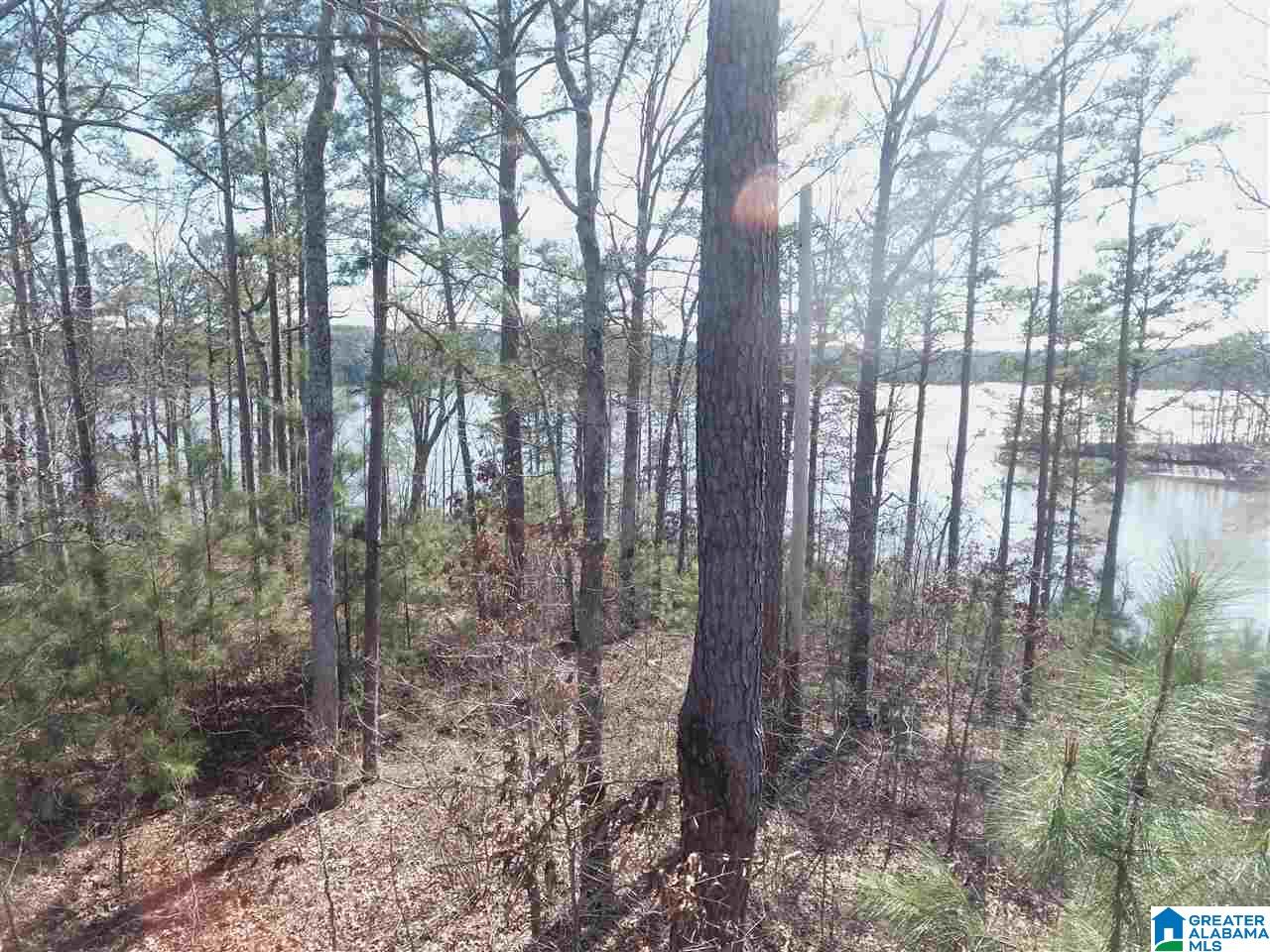 Red Eye Lane, Unit 22 Wedowee, AL 36278 - Photo 2 of 6
