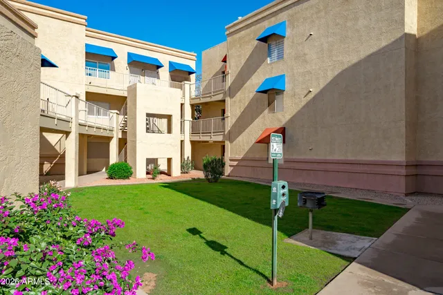 a view of a house with a yard and potted plants