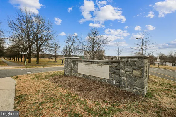 a view of a yard with an trees