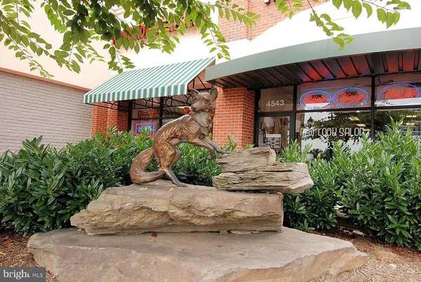 a front view of a house with garden and plants