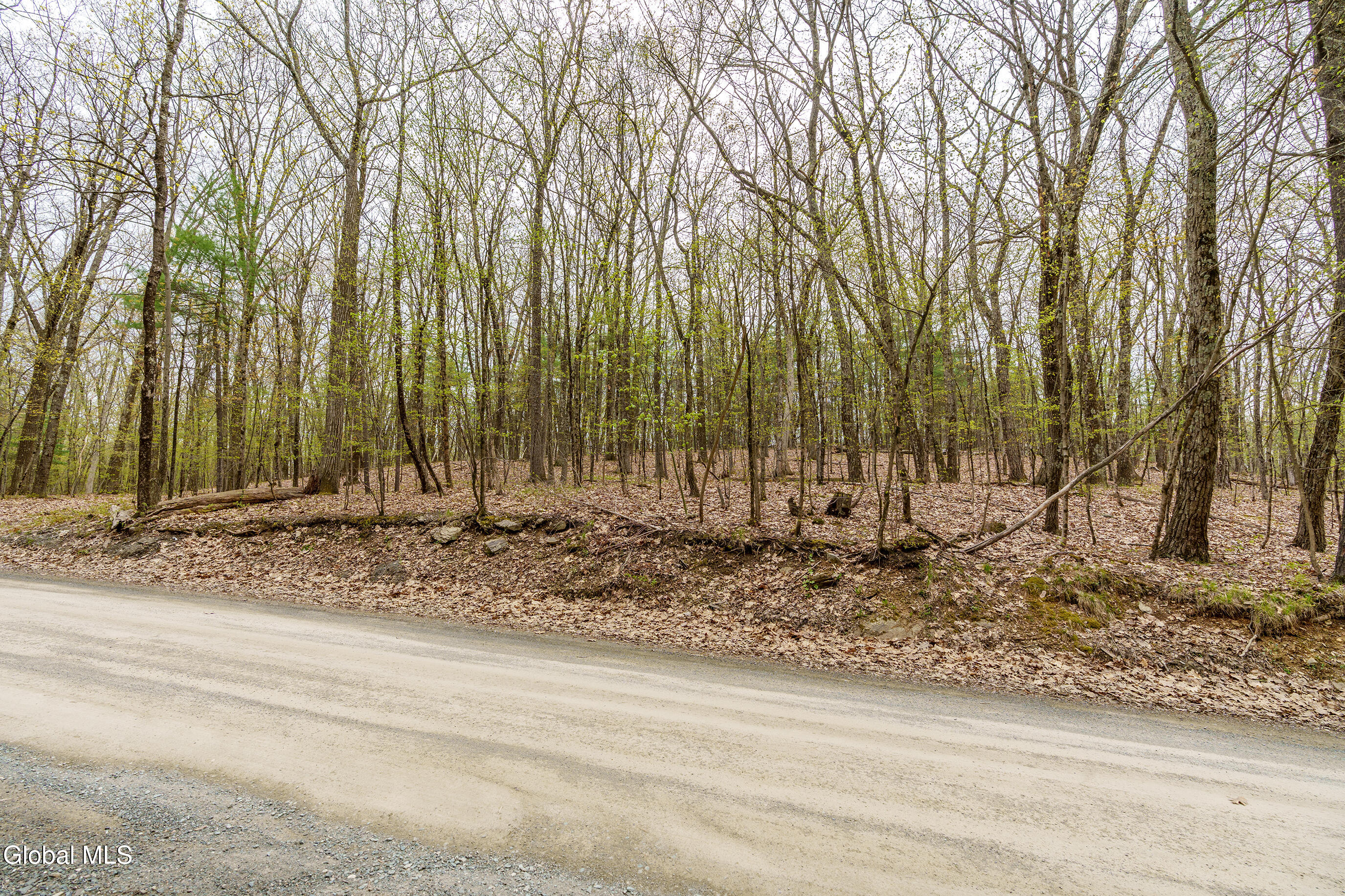 83 Maschodack Road Nassau, NY 12123 - Photo 18 of 26 036-Mashodack-Rd-Nassau-NY-12123