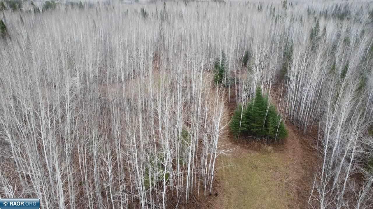 11499 State Highway 1 Cook, MN 55723 - Photo 15 of 29