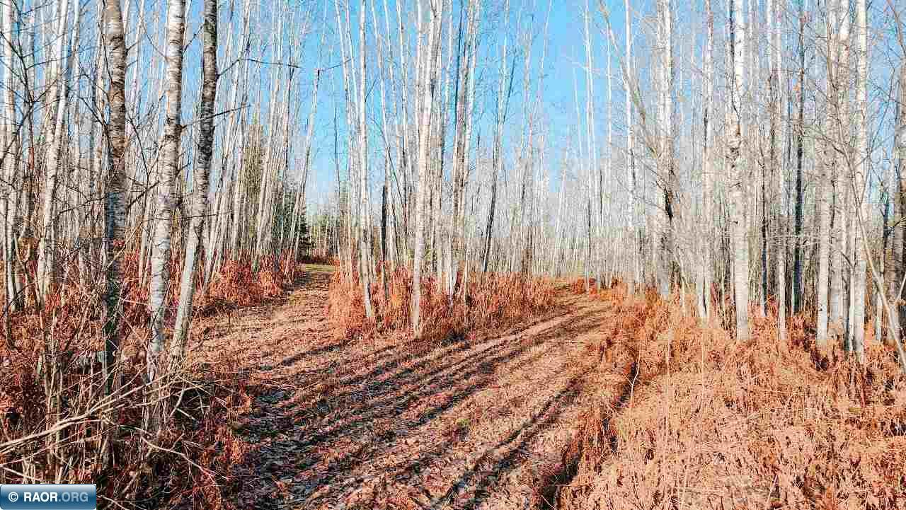 11499 State Highway 1 Cook, MN 55723 - Photo 21 of 29