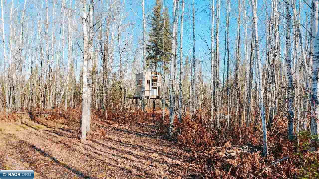 11499 State Highway 1 Cook, MN 55723 - Photo 22 of 29