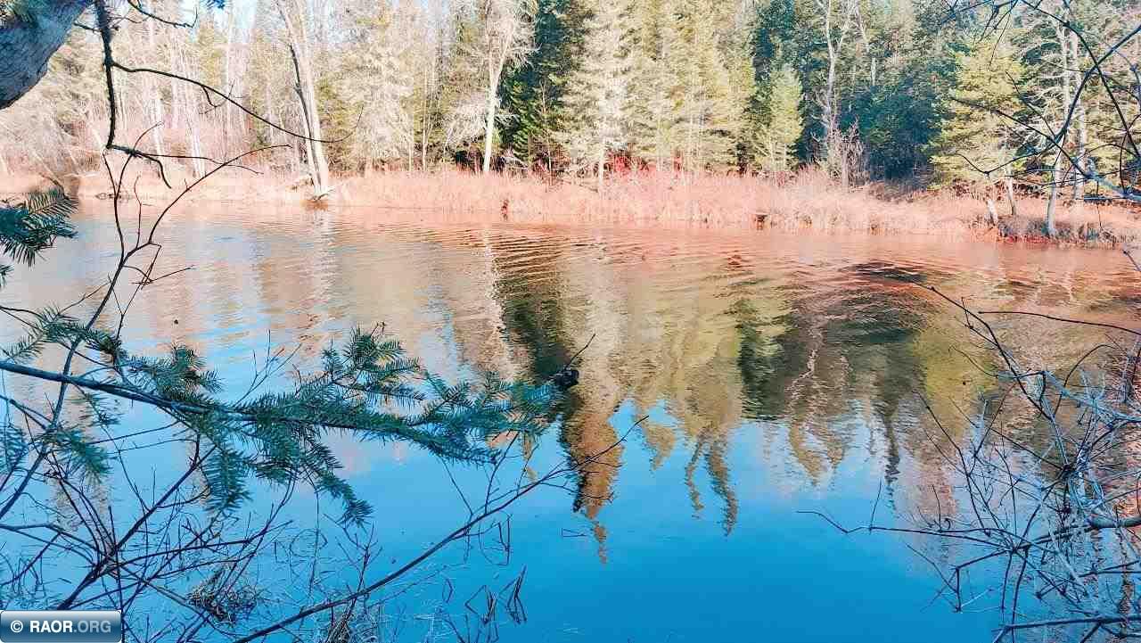 11499 State Highway 1 Cook, MN 55723 - Photo 23 of 29