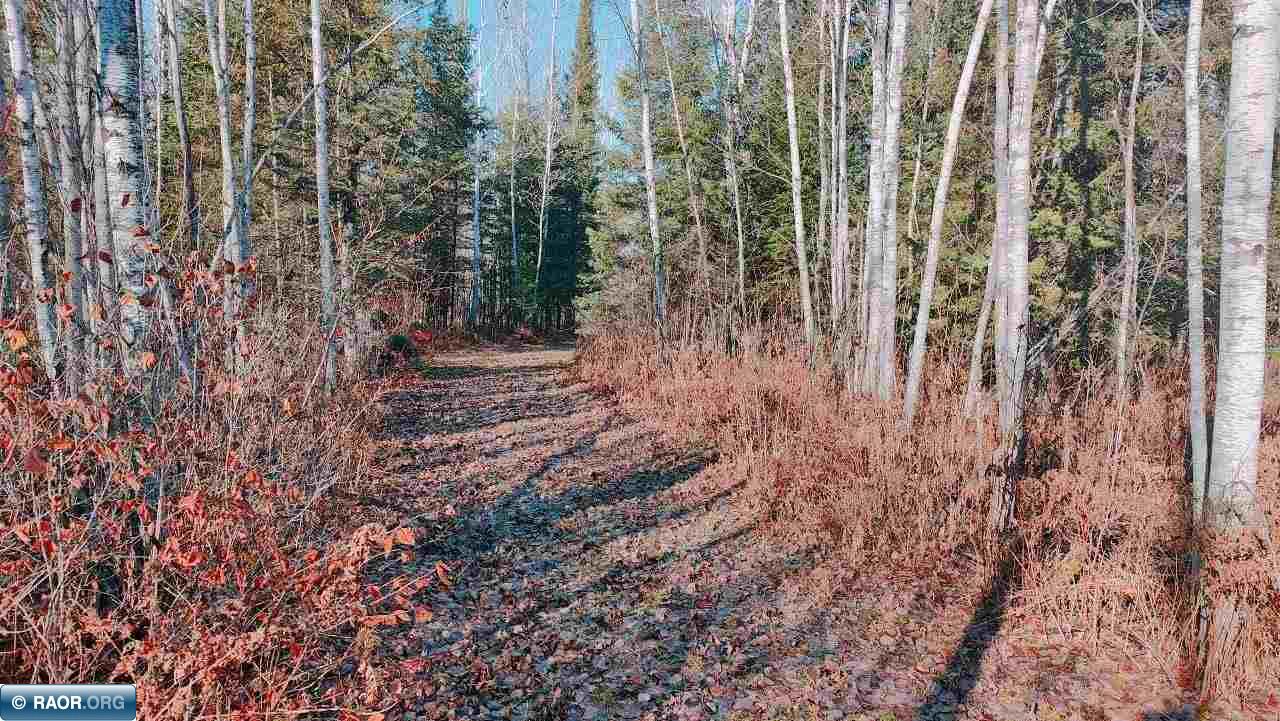 11499 State Highway 1 Cook, MN 55723 - Photo 24 of 29