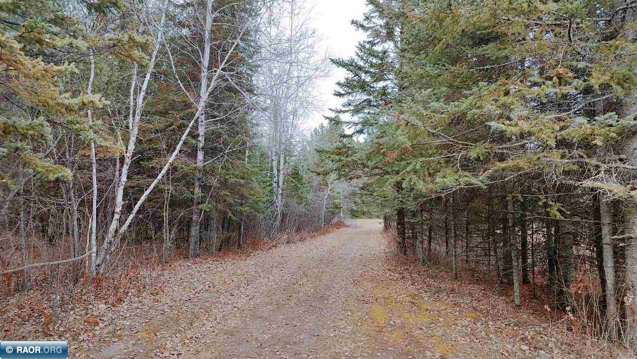 11499 State Highway 1 Cook, MN 55723 - Photo 28 of 29