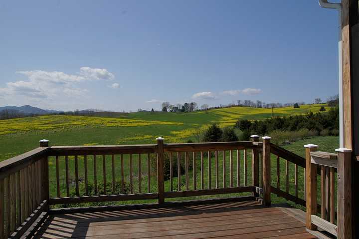 9431 Botetourt Road Eagle Rock, VA 24085 - Photo 12 of 21 Deck