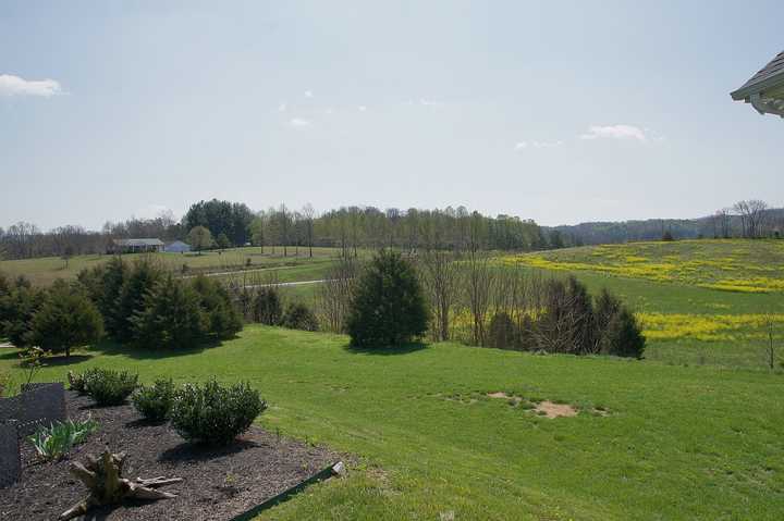 9431 Botetourt Road Eagle Rock, VA 24085 - Photo 18 of 21 Land