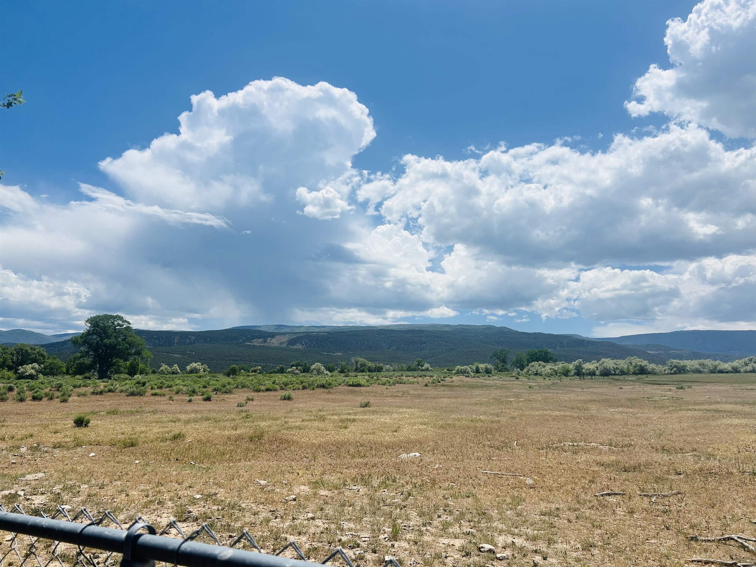 49067 KE Road Mesa, CO 81643 - Photo 9 of 31 a view of a lake