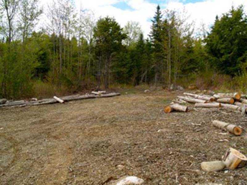 Off Hale Farm Road Lee, ME 04455 - Photo 12 of 13 Land.
