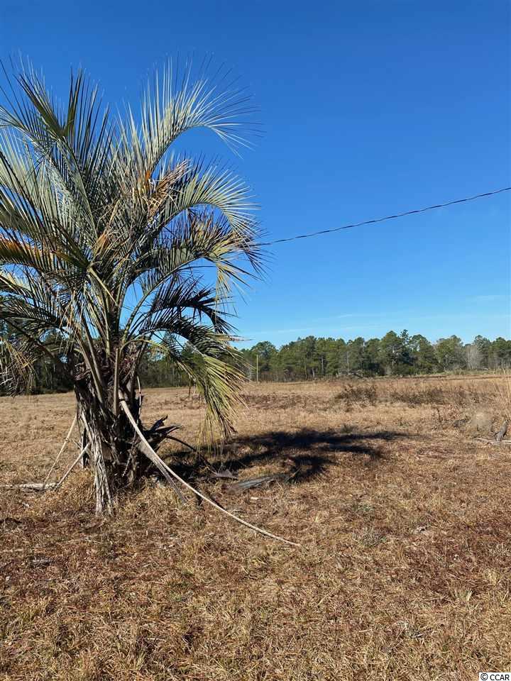 Mount Zion Avenue Georgetown, SC 29440 - Photo 3 of 11 Gallery Image 3