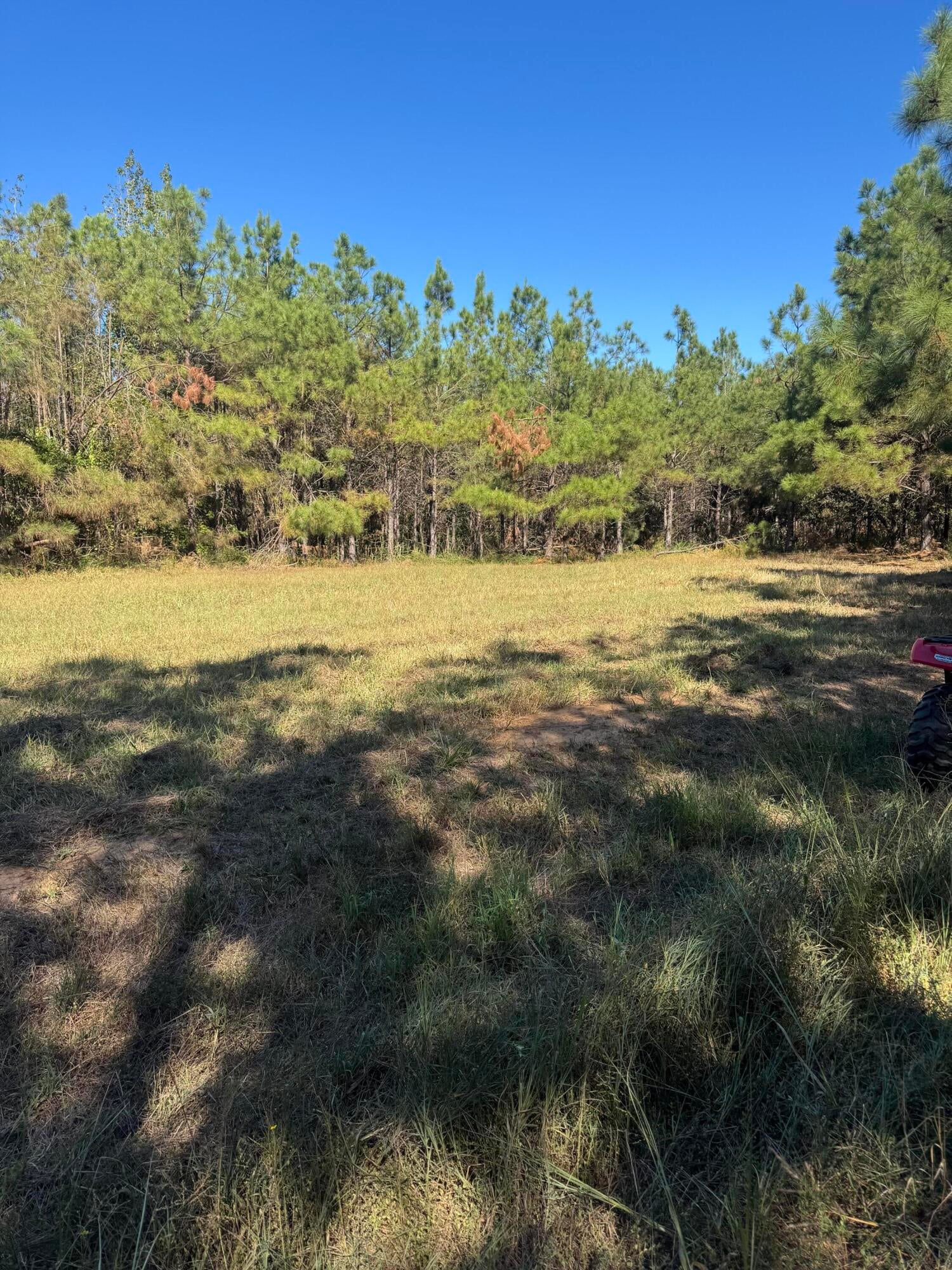540 Co Road Ripley, MS 38663 - Photo 2 of 9 Gallery Image 2