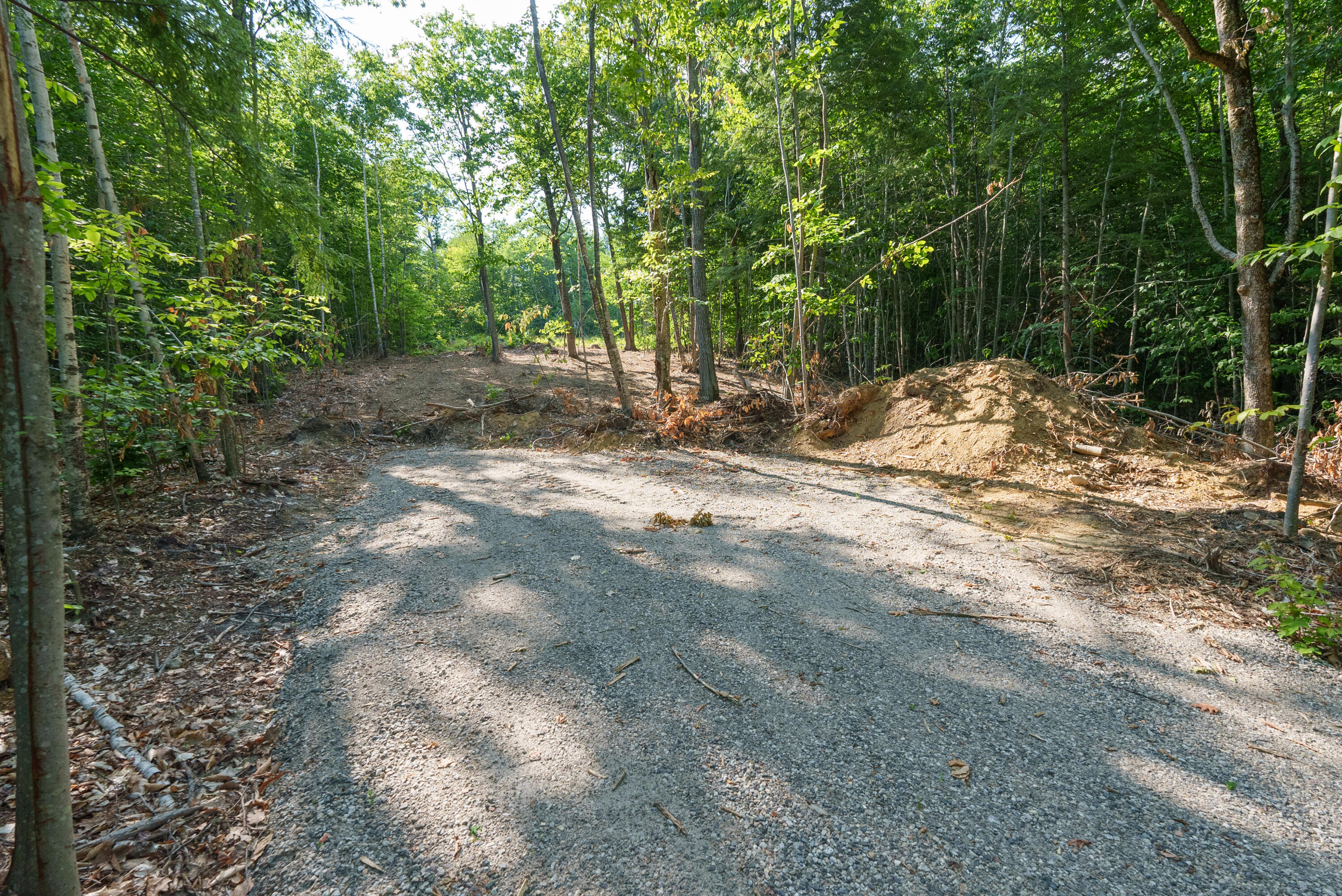 Across from Parker Pond