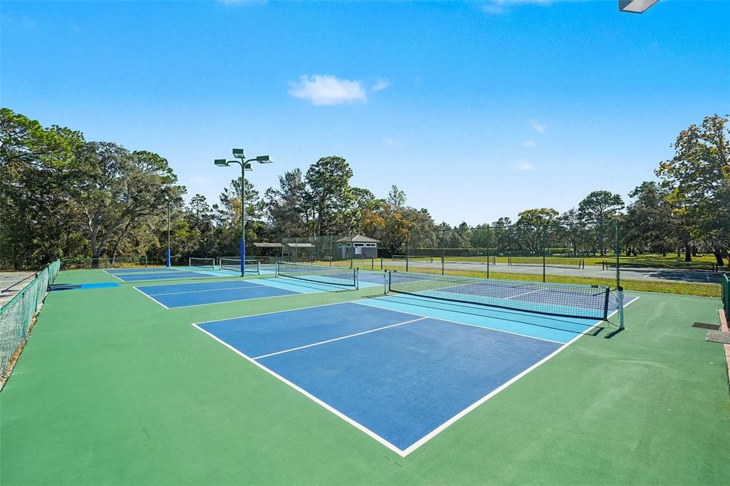 8402 Maybelle Drive Weeki Wachee, FL 34613 - Photo 40 of 41 a view of a tennis court