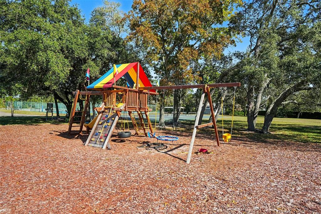 8402 Maybelle Drive Weeki Wachee, FL 34613 - Photo 44 of 56 a view of park with slide