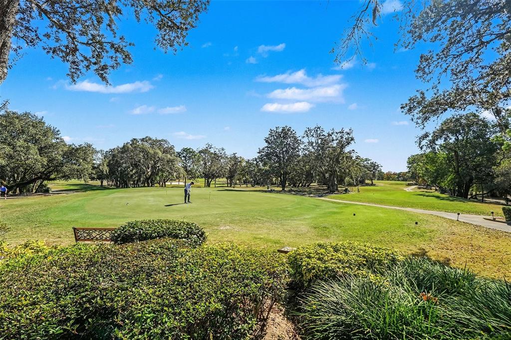 8402 Maybelle Drive Weeki Wachee, FL 34613 - Photo 51 of 56 a view of a golf course with a big yard