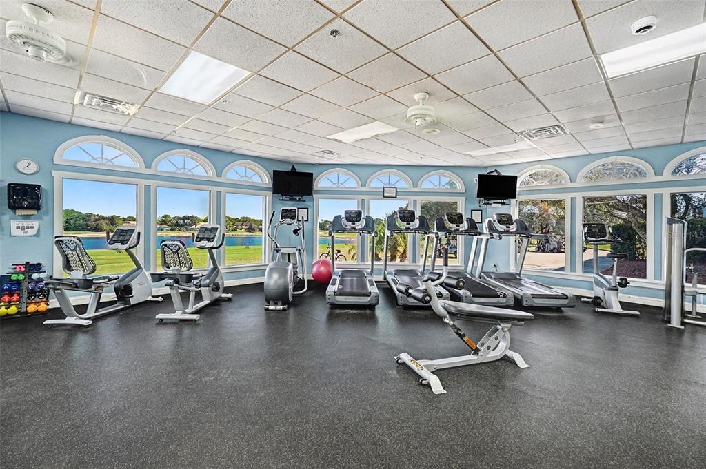 8402 Maybelle Drive Weeki Wachee, FL 34613 - Photo 53 of 56 a view of a room with gym equipment