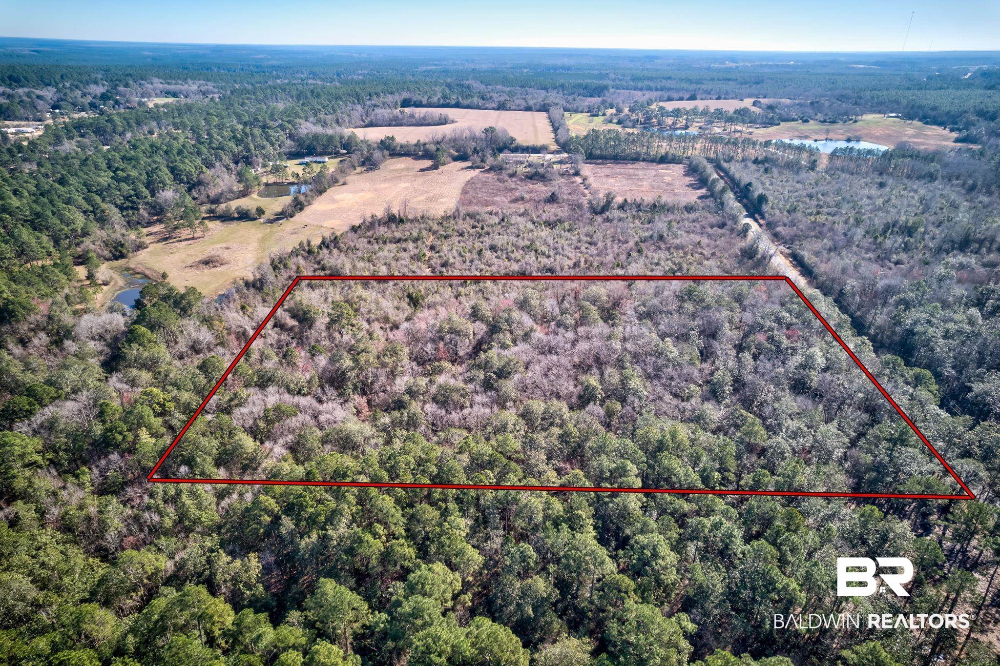 28720 Loper Road Loxley, AL 36551 - Photo 6 of 8