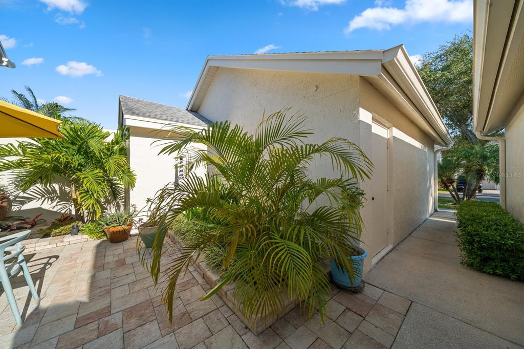 11300 Harbor Way, Unit 1734 Largo, FL 33774 - Photo 32 of 44 a close up of a plant