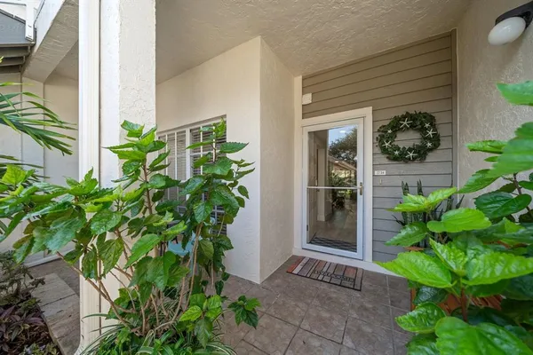 a potted plant sitting in front of a house