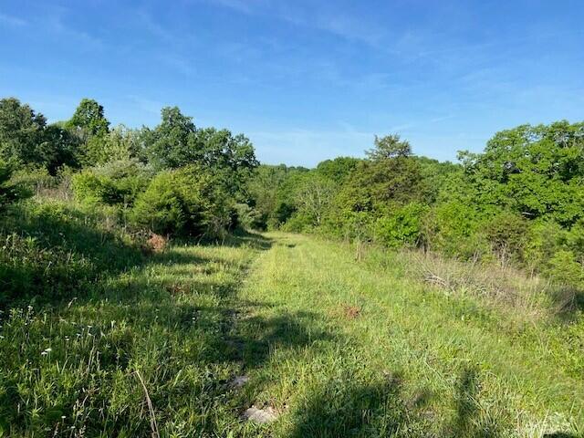 0 Mann Road Mount Olivet, KY 41064 - Photo 8 of 46