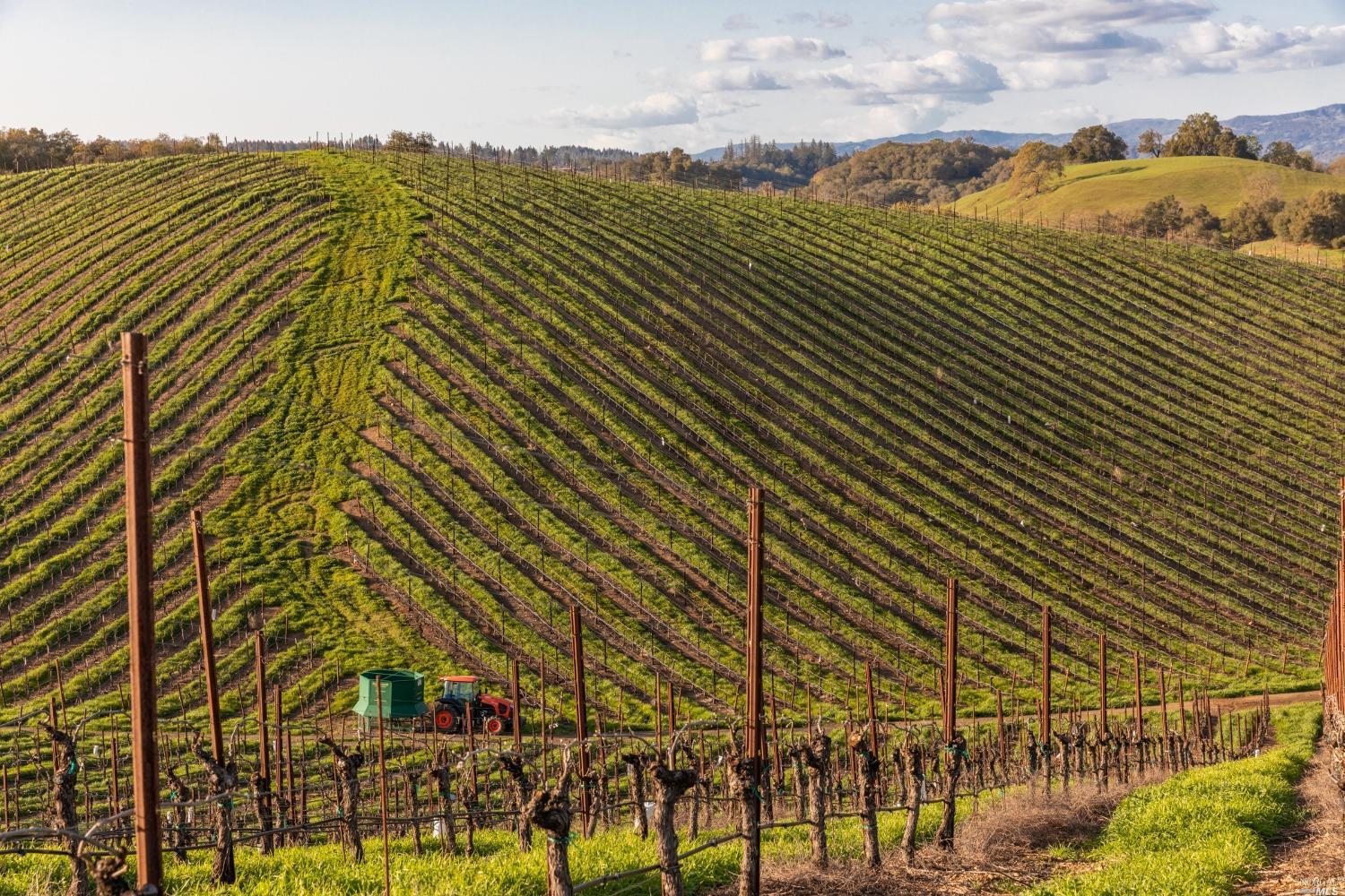 5285 Westside Road Healdsburg, CA 95448 - Photo 52 of 58