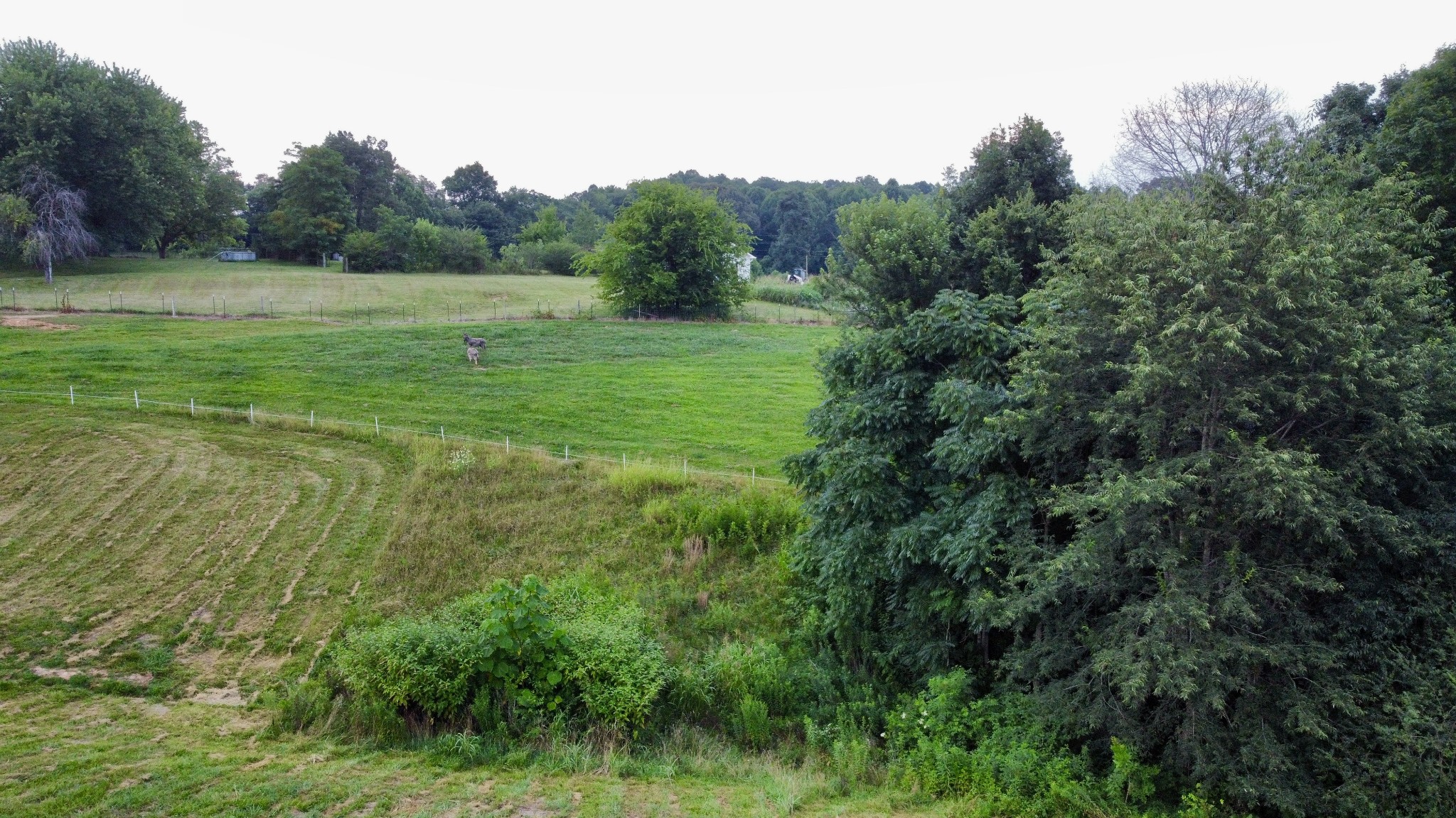 354 Dyer Ridge Road Baxter, TN 38544 - Photo 10 of 96