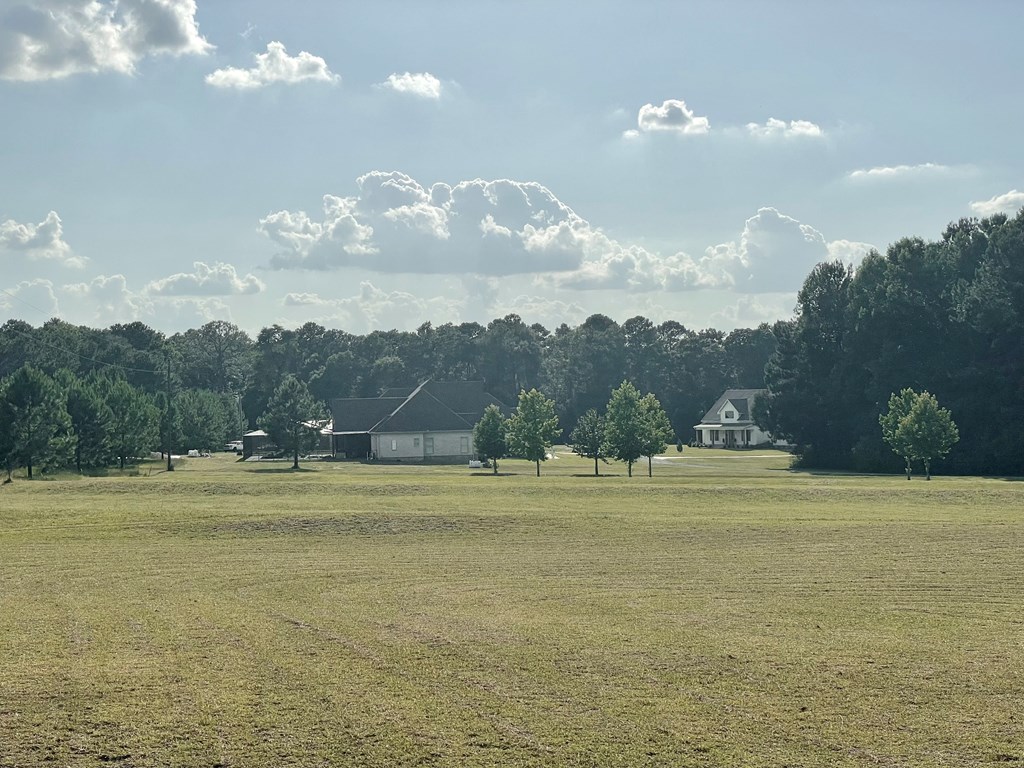 1320 Middleton Road Dothan, AL 36301 - Photo 34 of 39 View from the rear porch
