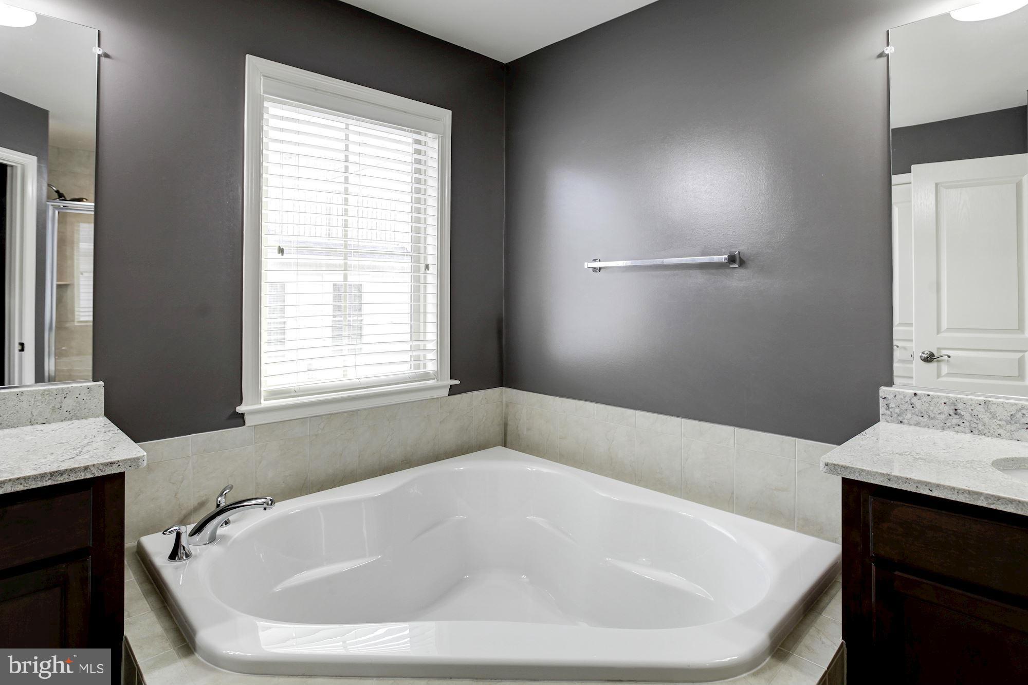 3439 Kemper Road Arlington, VA 22206 - Photo 17 of 30 Bath (Master)