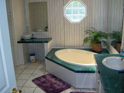 1217 Trough Run Road Moneta, VA 24121 - Photo 12 of 16 Master Bath
