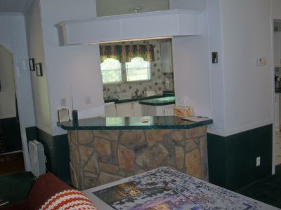 1217 Trough Run Road Moneta, VA 24121 - Photo 8 of 16 Breakfast Bar