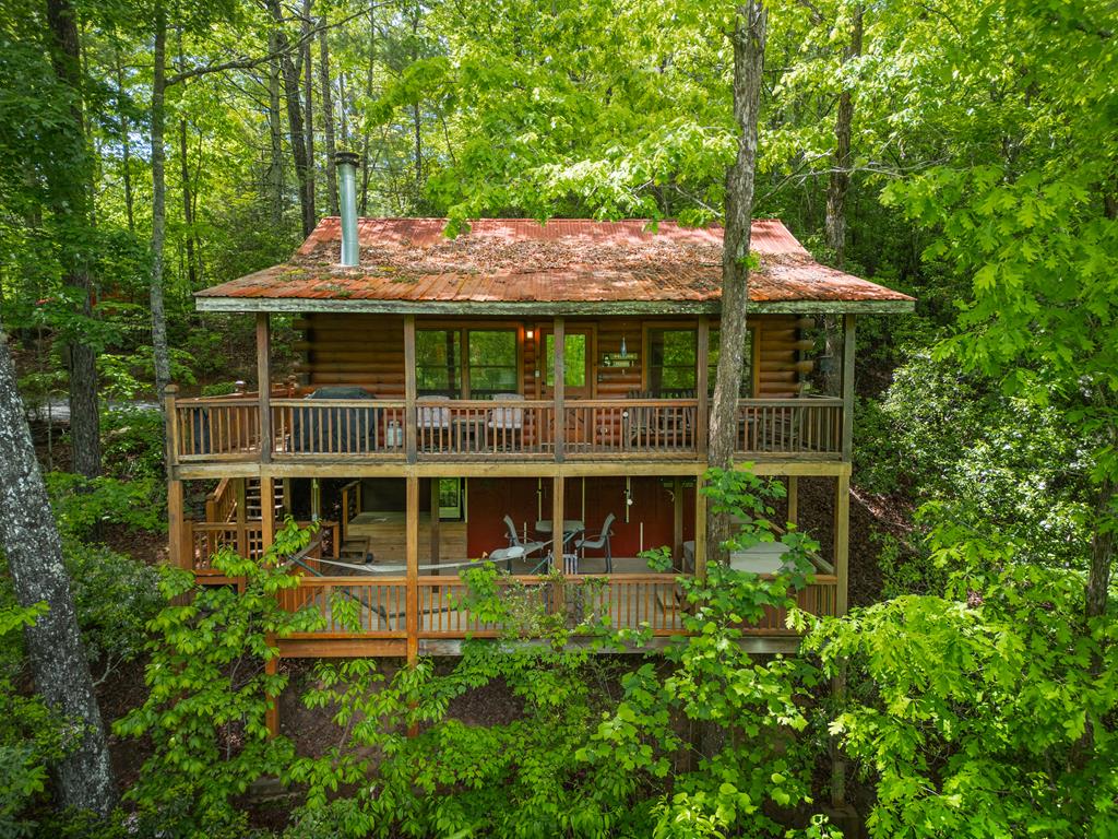 203 Mountain View Road Cherry Log, GA 30522 - Photo 1 of 32 Main View